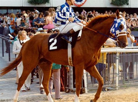Fastest Horses to Ever Win the Belmont Stakes .